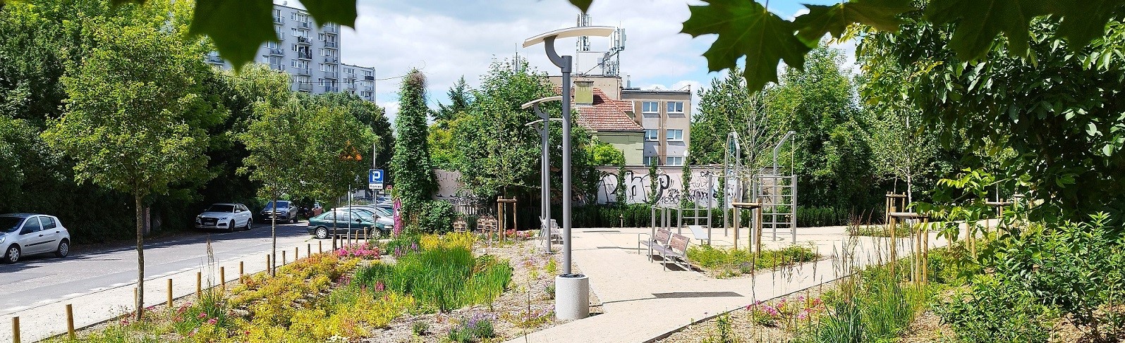 Fotografia skweru zakładającego elementy sprzyjające adaptacji do zmian klimatu